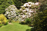 Inverewe Gardens Poolewe