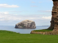 bass-rock-tantallon.jpg