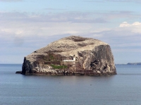 bass-rock.jpg