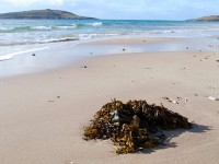 big-sand-gairloch.jpg