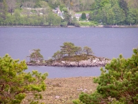 islet-loch-maree.jpg