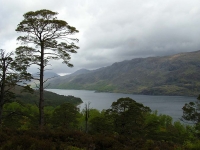 loch-maree-in-the-rain.jpg