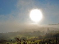 misty-morning-poolewe.jpg