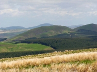 scotland-border-carter-bar-viewpoint.jpg