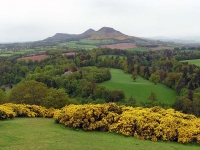 scotts-view-scottish-borders.jpg