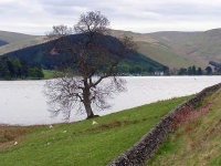 st-marys-loch-scottish-borders.jpg