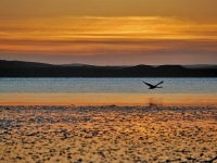 after-glow-loch-indaal.jpg