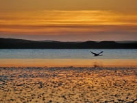 after-glow-loch-indaal.jpg