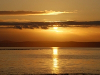 islay-sunset-and-geese.jpg