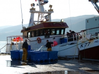 3_landing-catch-ullapool.jpg