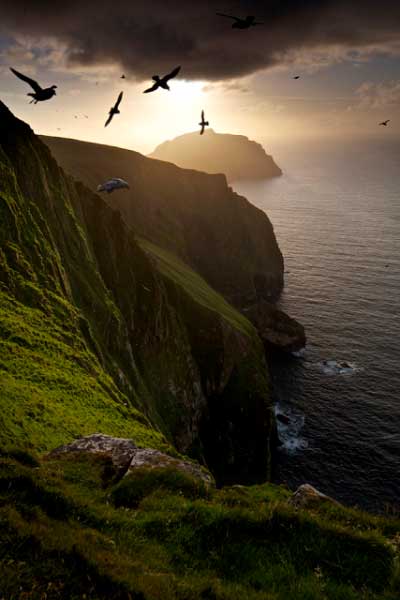 Fulmars Circle over the Tallest Cliff in the UK