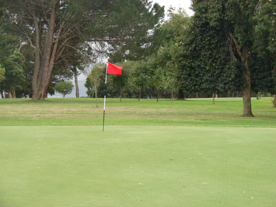 Golf Course Green with a red flag on a cloudy day Green Golf Course on a cloudy day in the rainy season