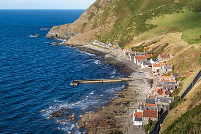 Crovie